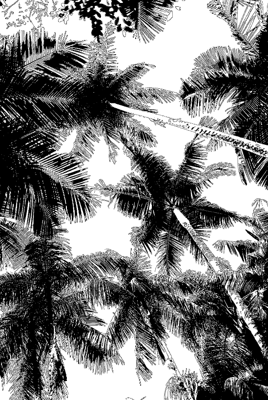 自然风景 · 智能