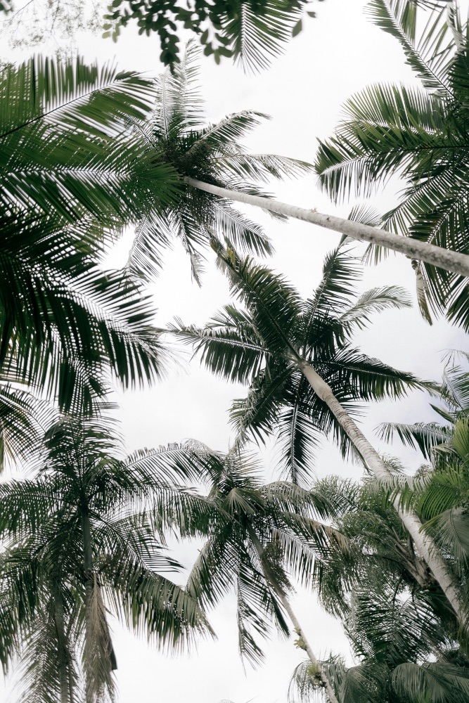 自然风景 · 原图